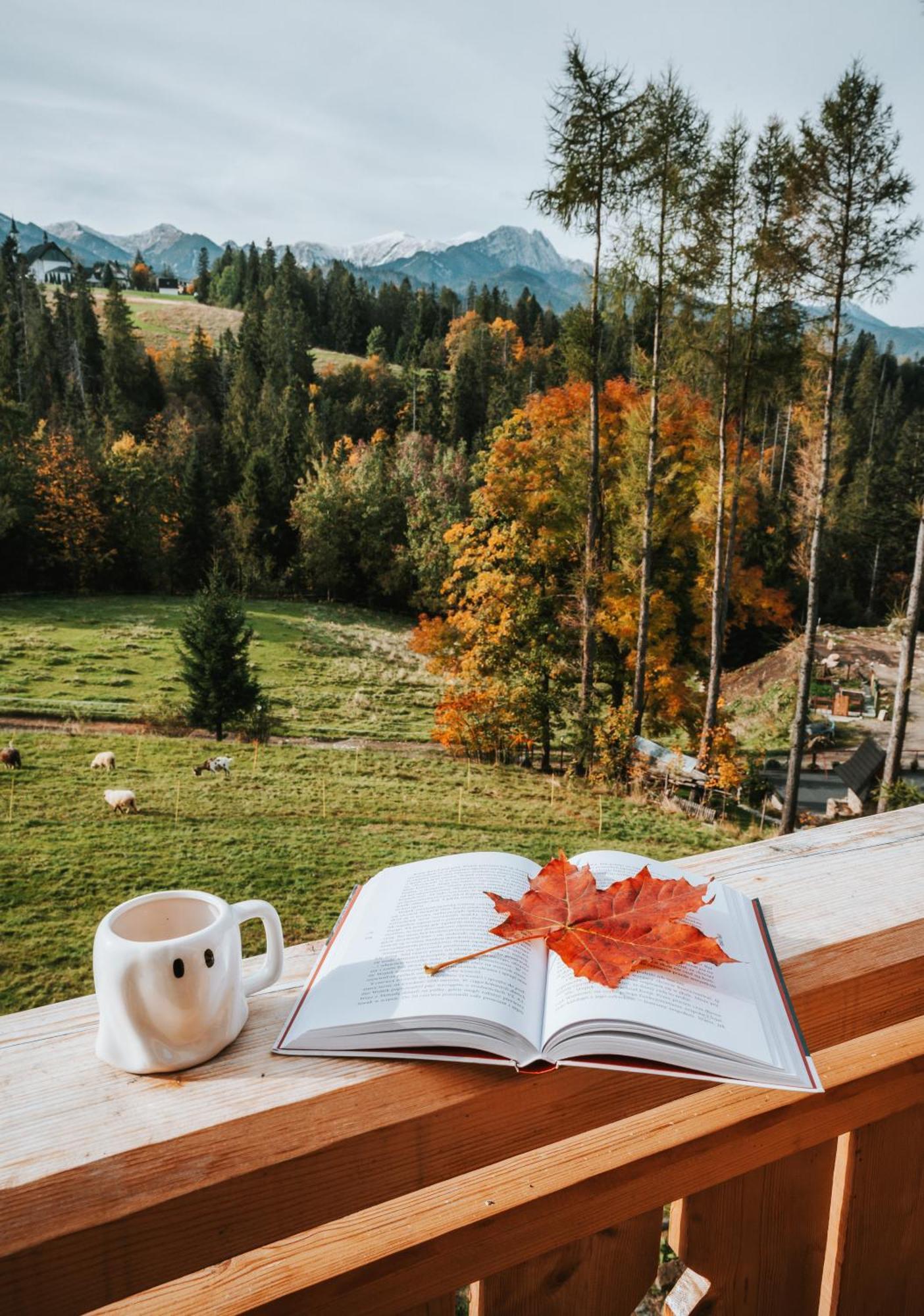 Mountain Base - Dom Hrabiego Chalet Zakopane