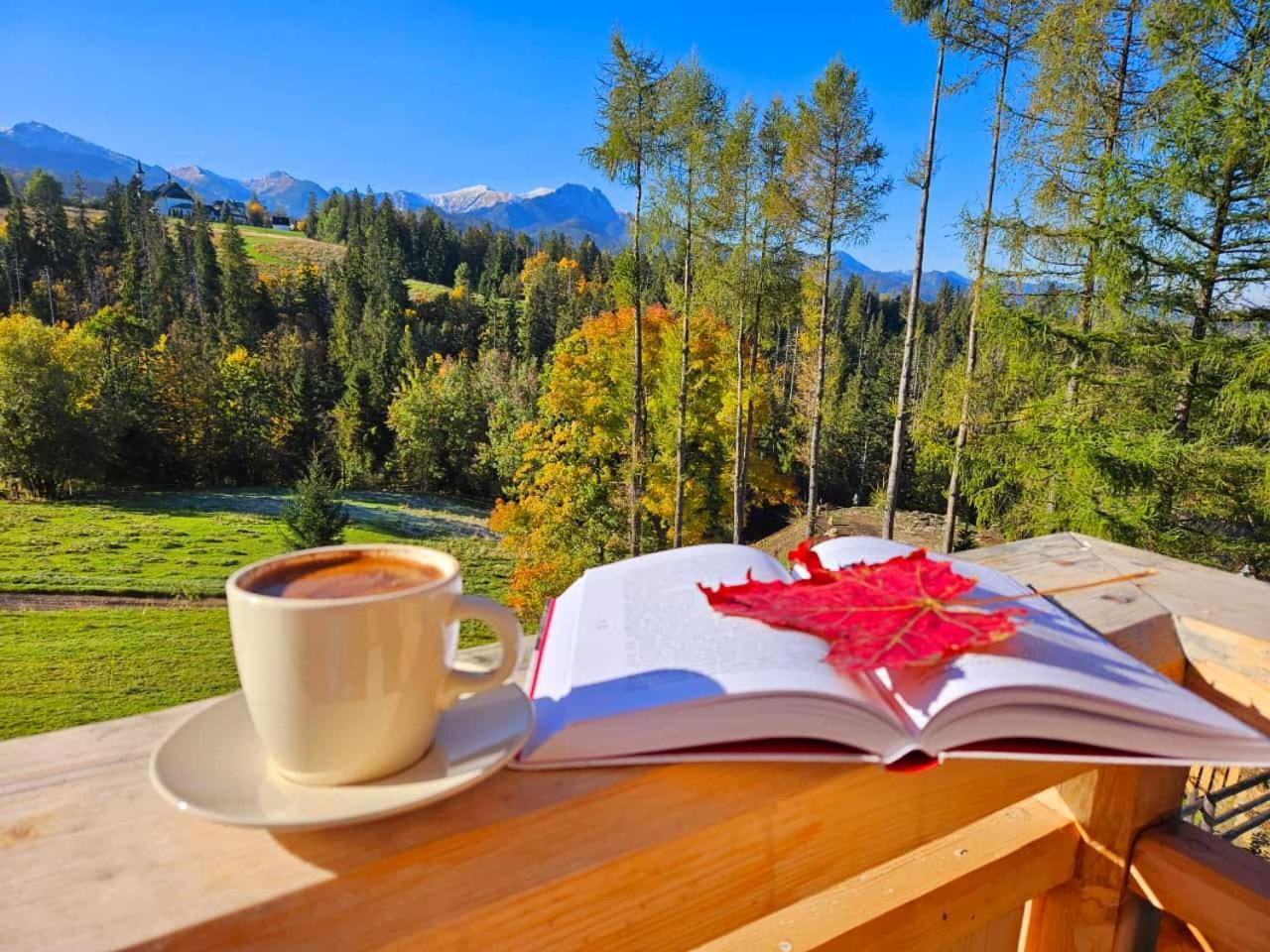 Mountain Base - Dom Hrabiego * Zakopane